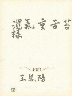 湿气重舌苔怎么样