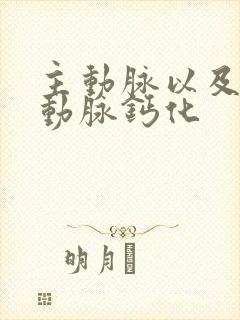 主动脉以及冠状动脉钙化