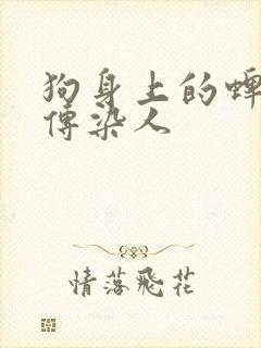 狗身上的蜱虫会传染人