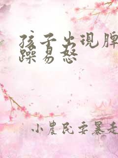 孩子出现脾气暴躁易怒