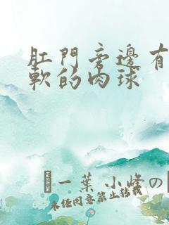 肛门旁边有个软软的肉球