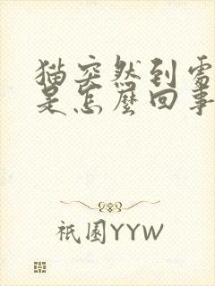 猫突然到处乱尿是怎么回事