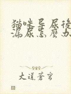 猫咪导尿后一直漏尿怎么办