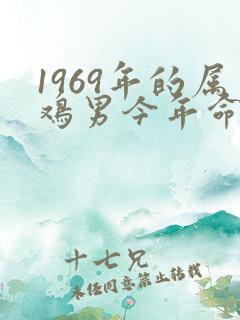 1969年的属鸡男今年命运