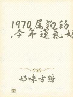 1970属狗的,今年运气好不好
