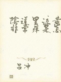 阴道里流黄水水非常痒是怎么回事?