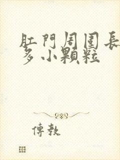 肛门周围长了很多小颗粒