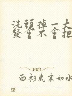 洗头掉一大把头发会不会把头发掉光