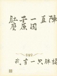 肚子一直阵痛什么原因