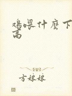 鸡喂什么下蛋率高