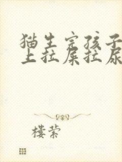 猫生完孩子在床上拉屎拉尿怎么办