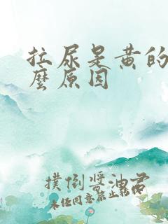 拉尿是黄的是什么原因