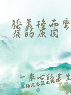 膝盖后面弯曲疼痛的原因