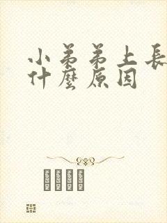 小弟弟上长水泡什么原因