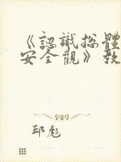 《认识总体国家安全观》教学设计