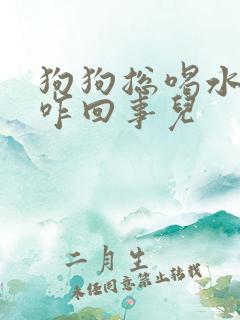 狗狗总喝水总尿咋回事儿