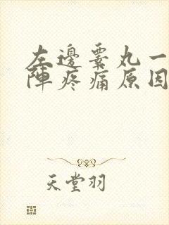 左边睾丸一阵一阵疼痛原因