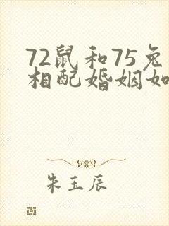 72鼠和75兔相配婚姻如何