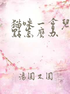 猫咪一会儿尿一点怎么办