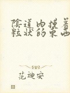 阴道内摸着有颗粒状的东西正常吗