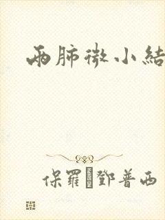 两肺微小结节影