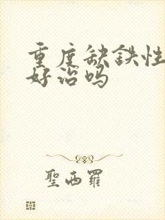 重度缺铁性贫血好治吗