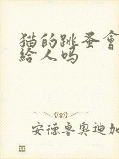 猫的跳蚤会传染给人吗