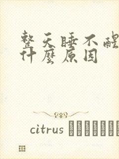 整天睡不醒犯困什么原因