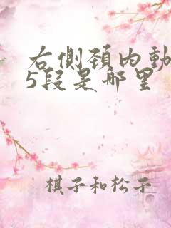 右侧颈内动脉c5段是哪里