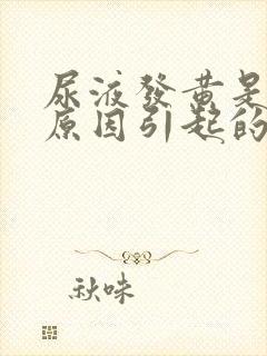 尿液发黄是什么原因引起的