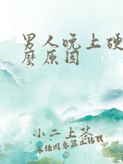 男人晚上硬是什么原因