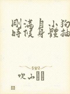 刚满月小狗睡觉时候身体抽搐抖动