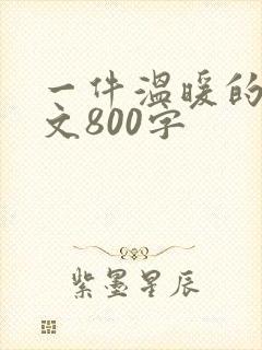 一件温暖的事作文800字