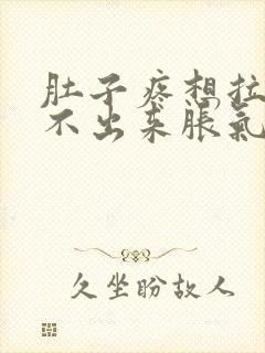 肚子疼想拉屎拉不出来胀气怎么回事