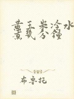 黄玉米冷水下锅煮几分钟