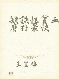 缺铁性贫血用什么补最快