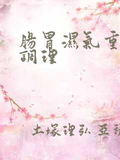 肠胃湿气重怎么调理