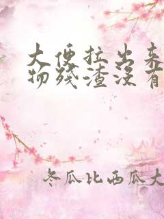 大便拉出来有食物残渣没有消化什么原因