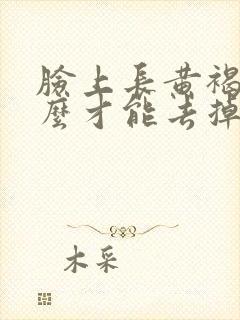 脸上长黄褐斑怎么才能去掉