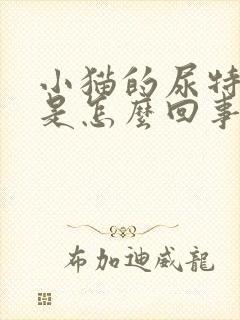 小猫的尿特别黄是怎么回事