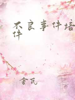 不良事件培训课件