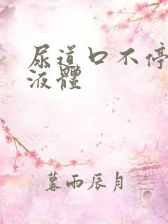 尿道口不停分泌液体