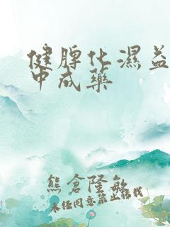 健脾化湿益气的中成药