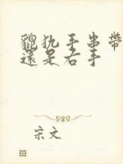 貔犰手串带左手还是右手