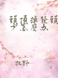 头顶掉发头发稀少怎么办