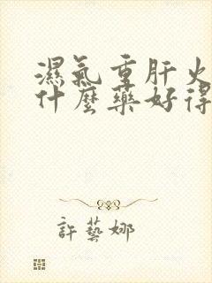 湿气重肝火旺吃什么药好得快