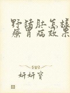 野猪肚怎样吃治疗胃病效果好