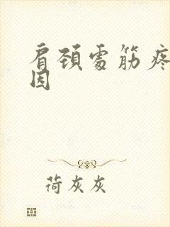 肩颈处筋疼的原因