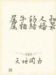 属牛的人和什么属相结婚最好