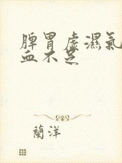 脾胃虚湿气重气血不足